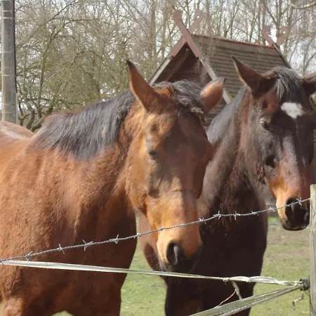 Lodge Ziegelei-lübars Klietz
