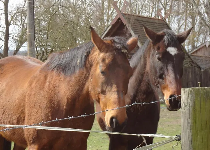 Jaktstuga Ziegelei-luebars Klietz